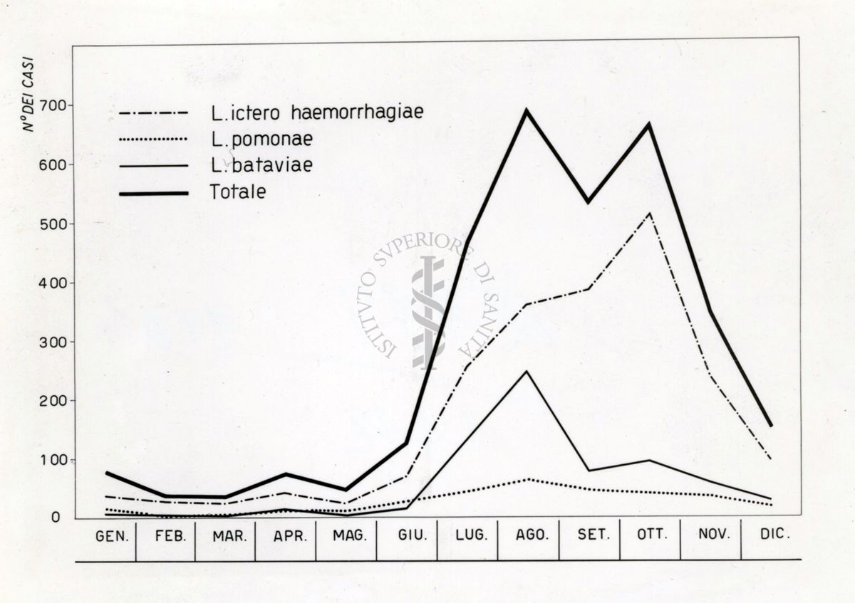 Cartogramma riguardante la leptospirosi (infezione causata da uno dei diversi sierotipi patogeni delle spirochete)