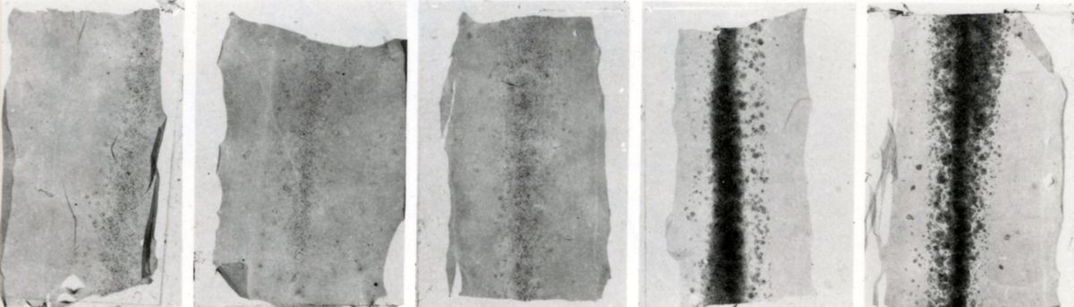 Dosaggio tossina difterica in coltura di tessuti