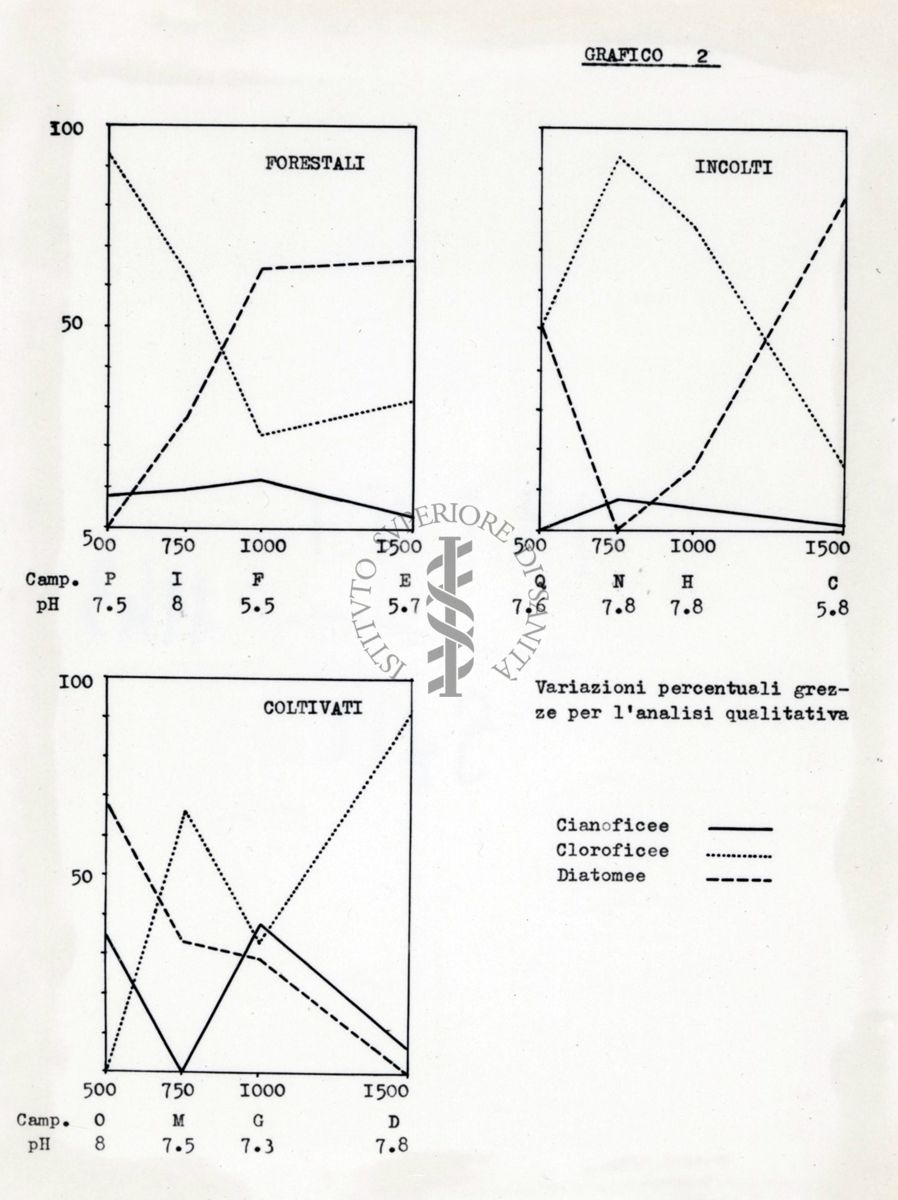 Diagramma di alghe