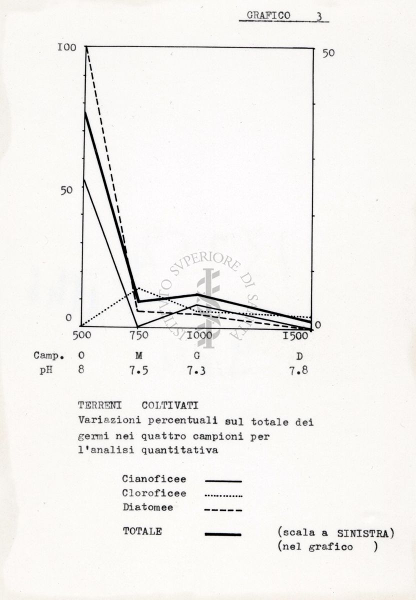 Diagramma di alghe