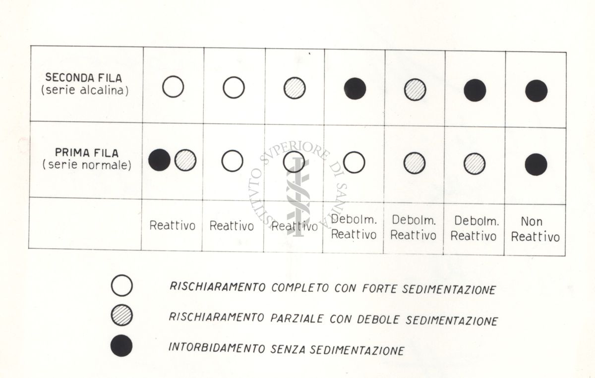 Schema della reazione di Meinicke (Sifilide). Si tratta di una infezione sessualmente trasmessa causata dal batterio Treponema Palladium.