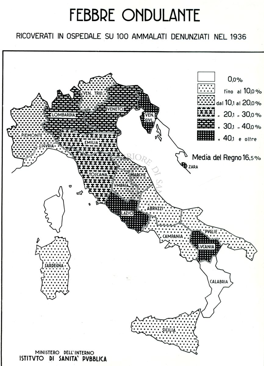 Cartogramma riguardante i casi di ricoveri per febbre ondulante