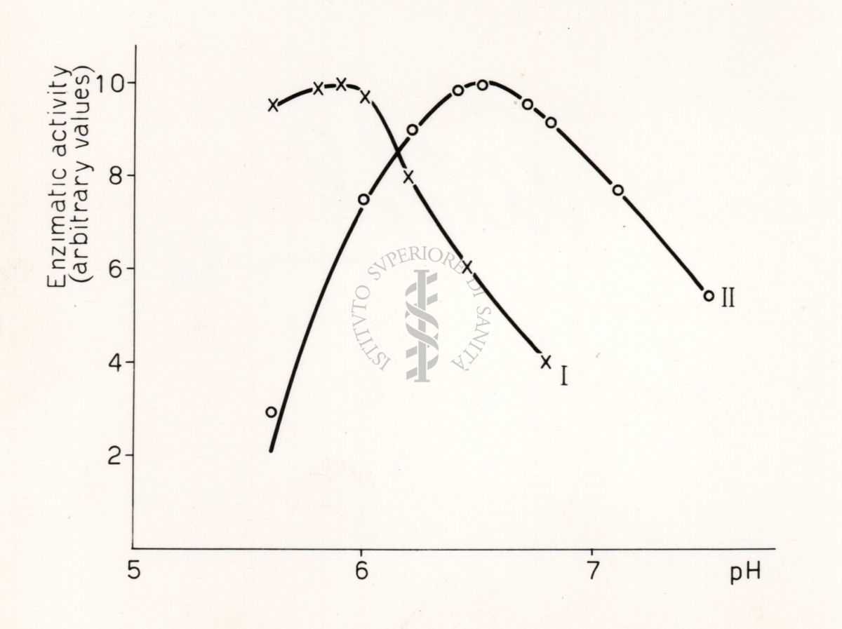 Riproduzione da disegno