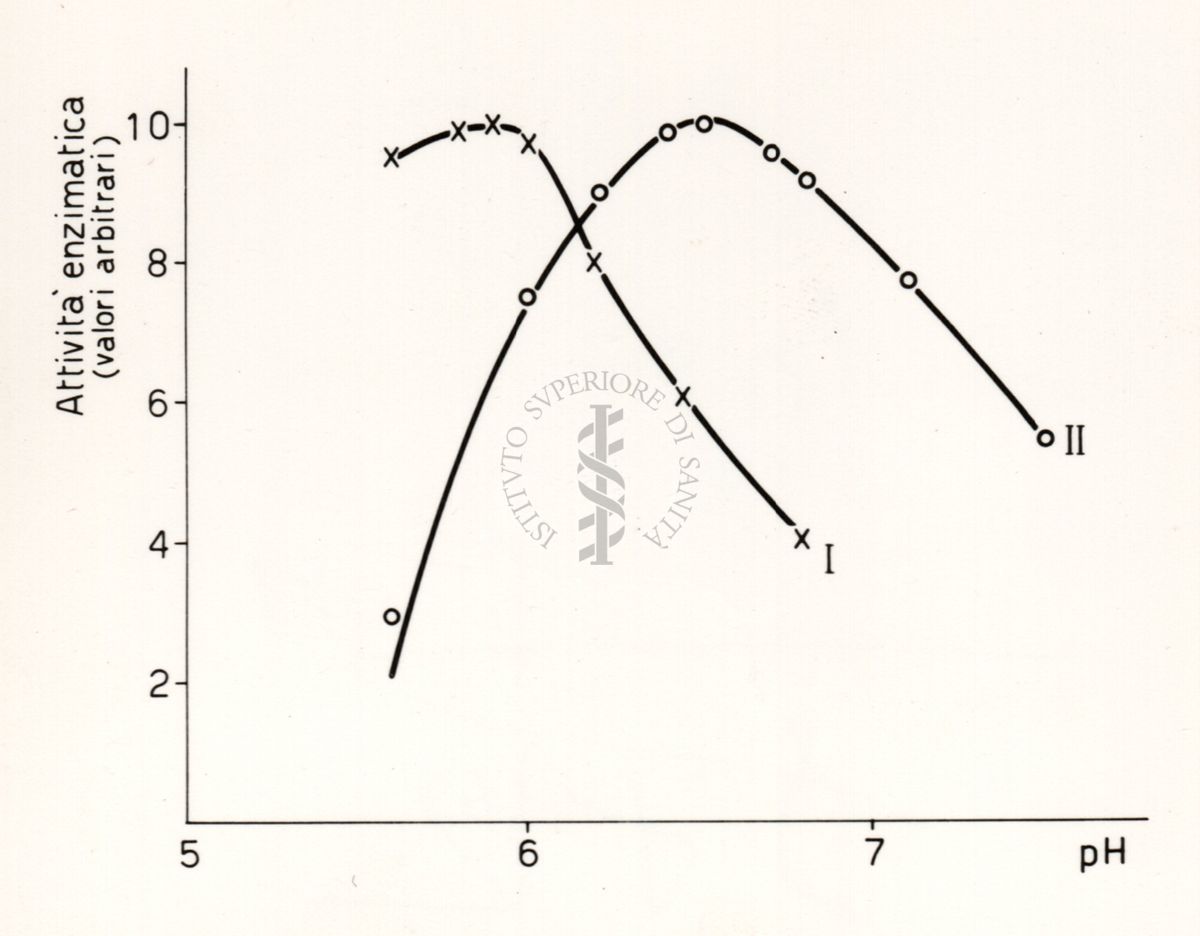 Riproduzione da disegno