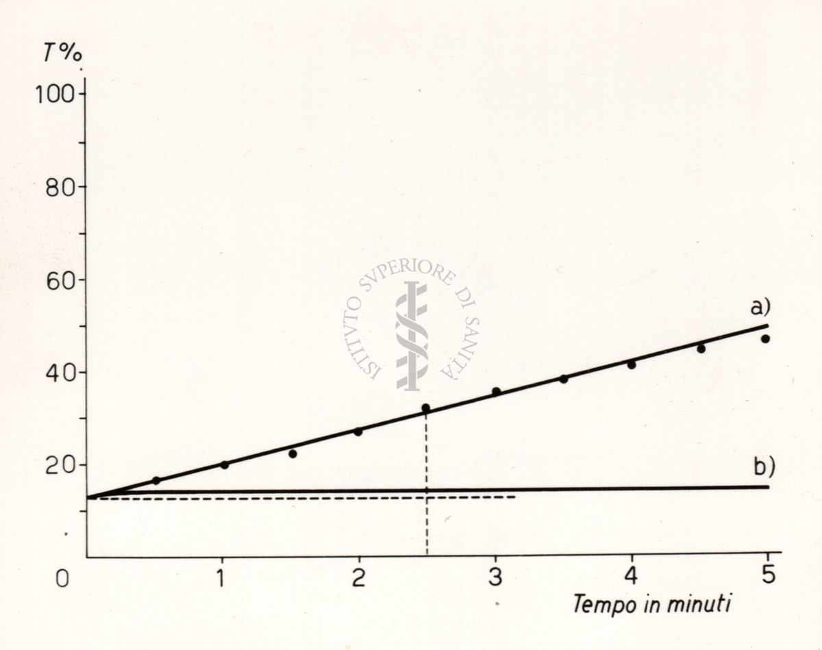 Riproduzione da disegno