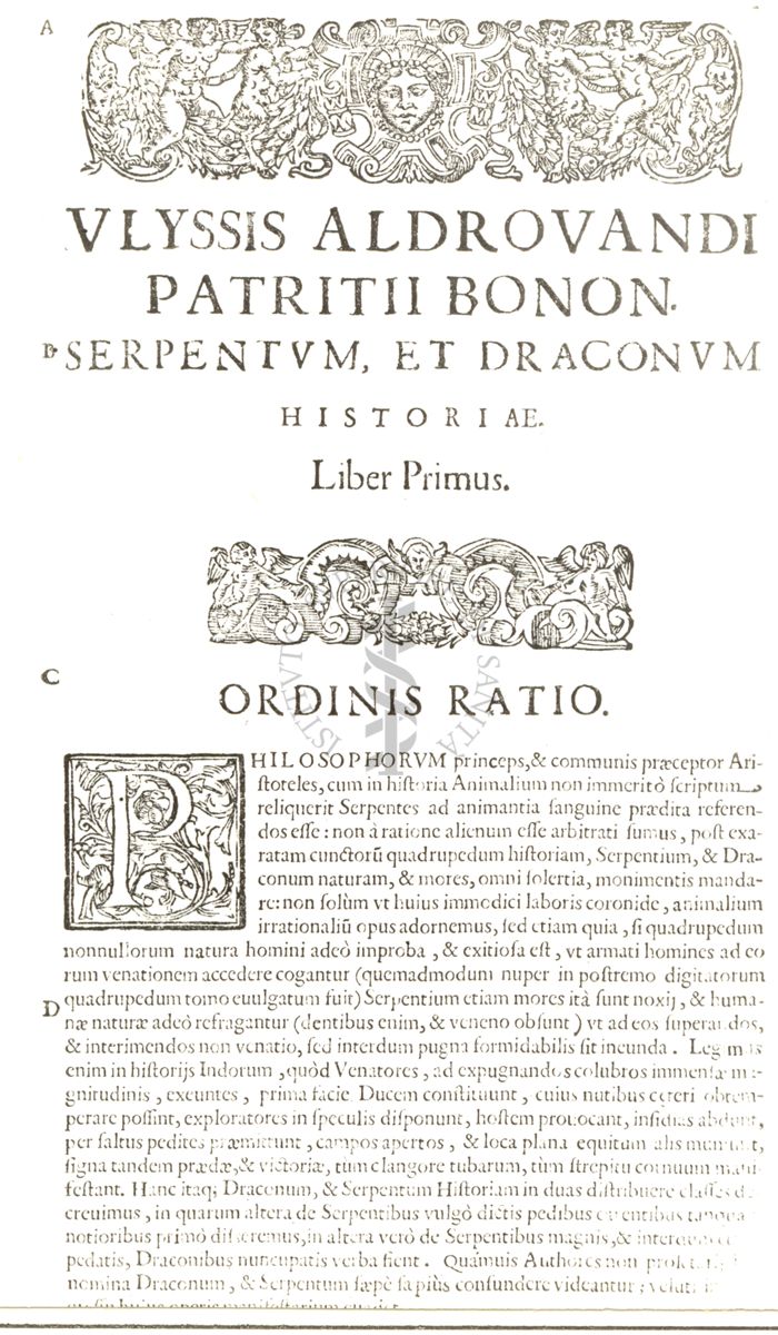 Pagina dell'opera Serpentum, et draconum historiae...,  di Ulisse Aldrovandi (1522-1605), pubblicato nel 1640