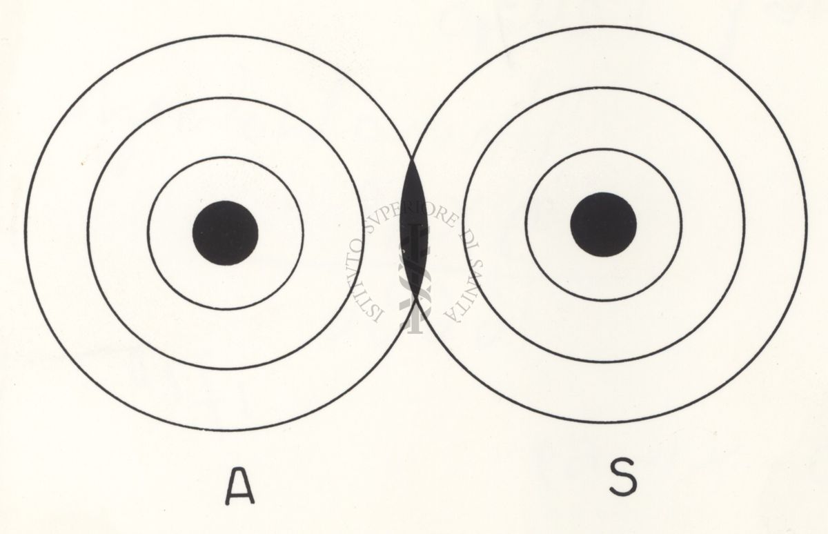 Riproduzione da disegno