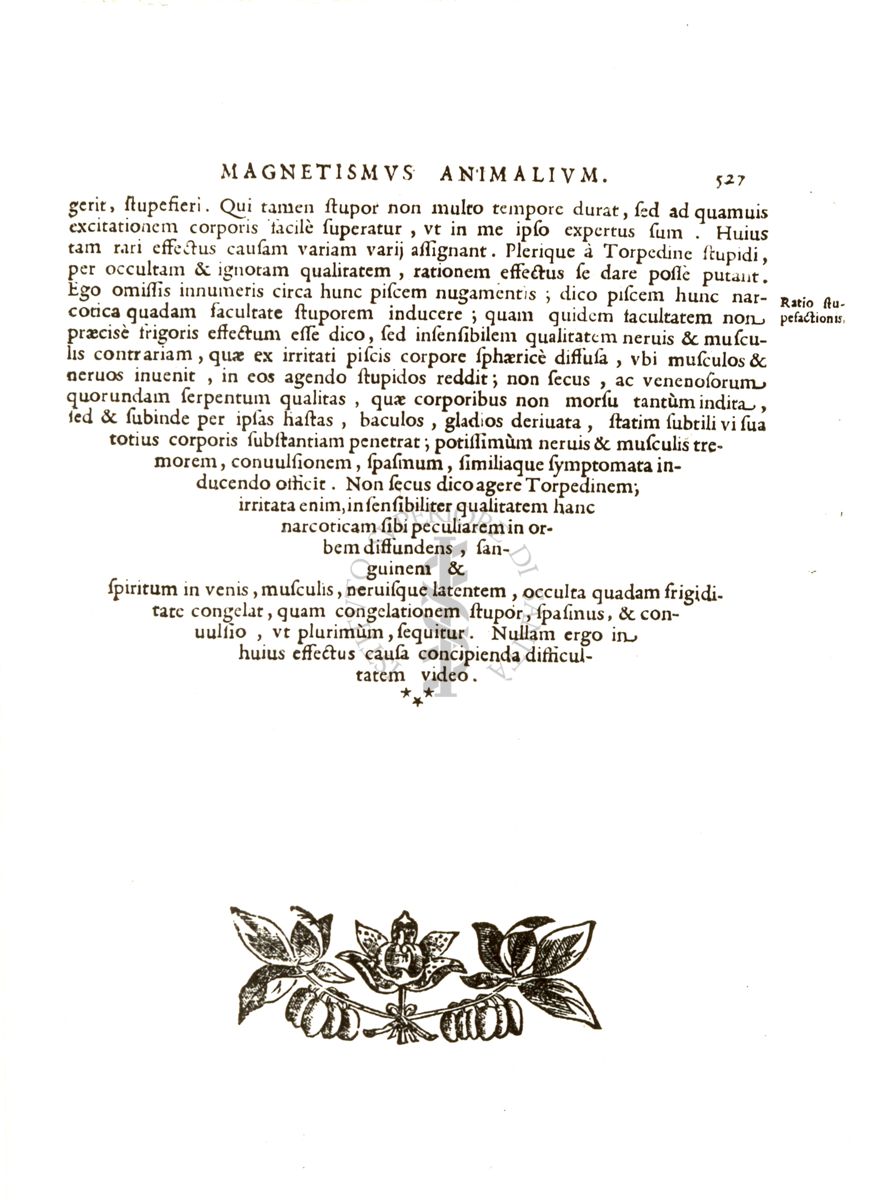 Riproduzioni della pagina 527 della terza edizione del libro "Magnes sive de arte magnetica opus tripartitum" di Athanasius Kircher, Roma MDCLIV