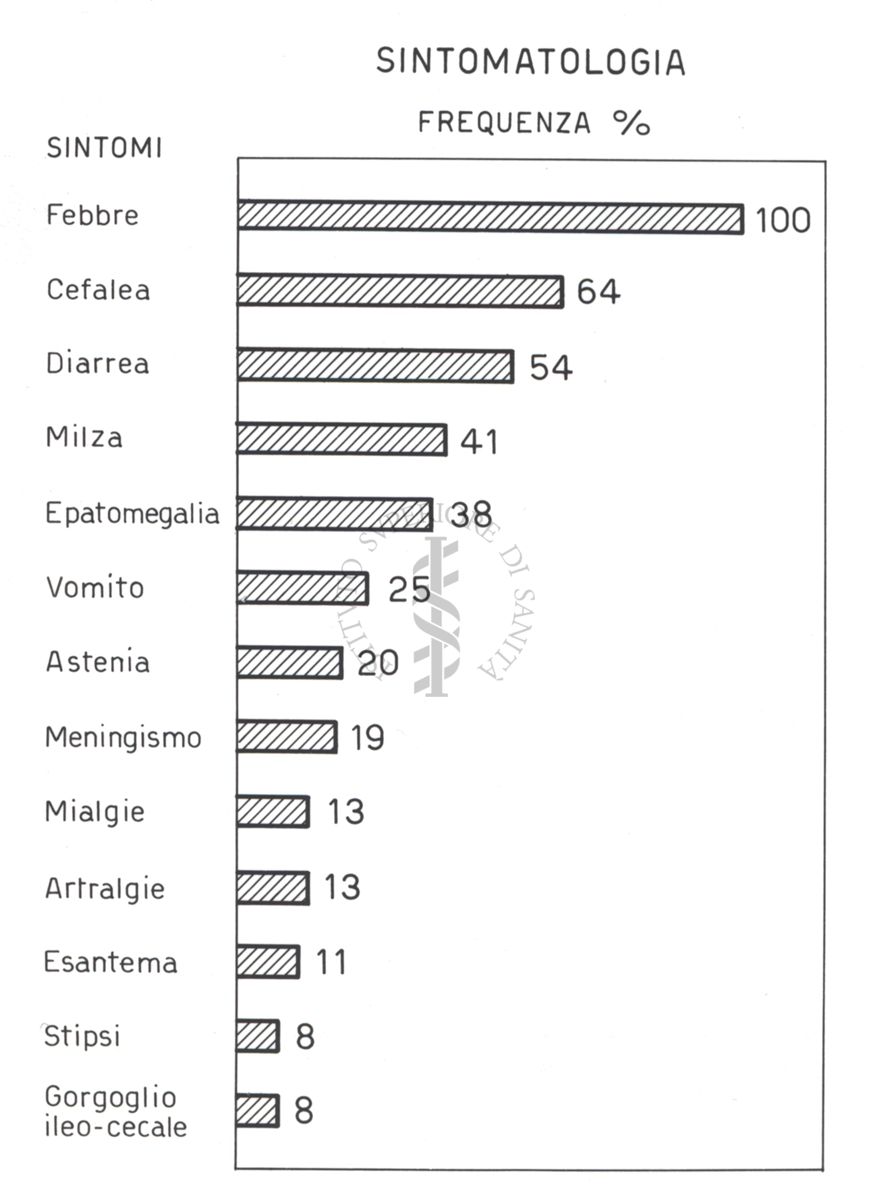 Riproduzione da disegno