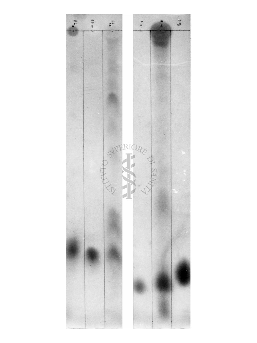 Cromatografia di esteri solfonici e glucuronosidi di esteroidi