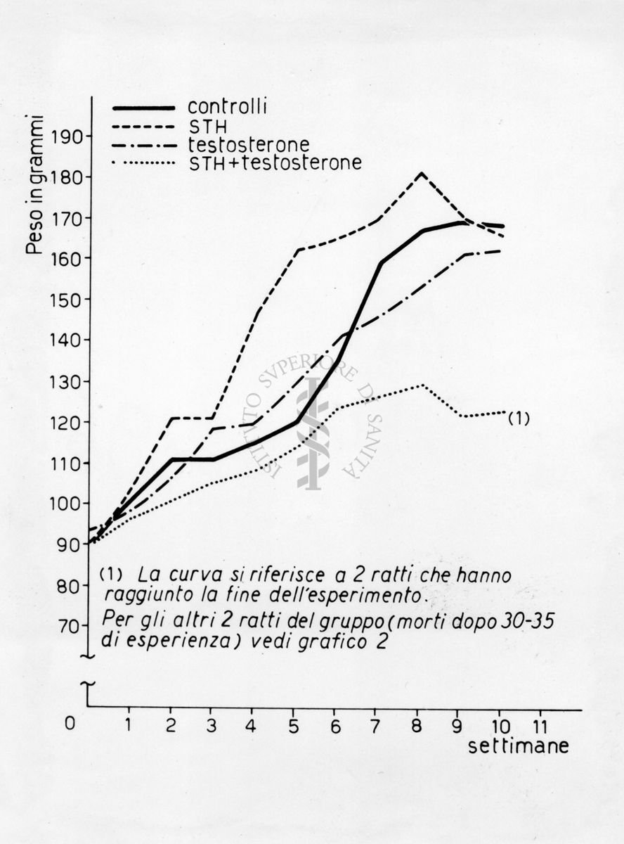 Grafico riguardante l'azione degli ormoni STH e testosterone su tessuto osseo - cartilagineo