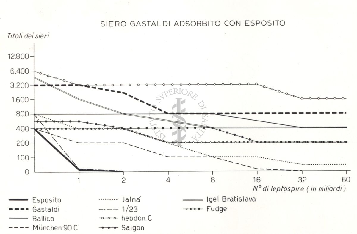 Riproduzione