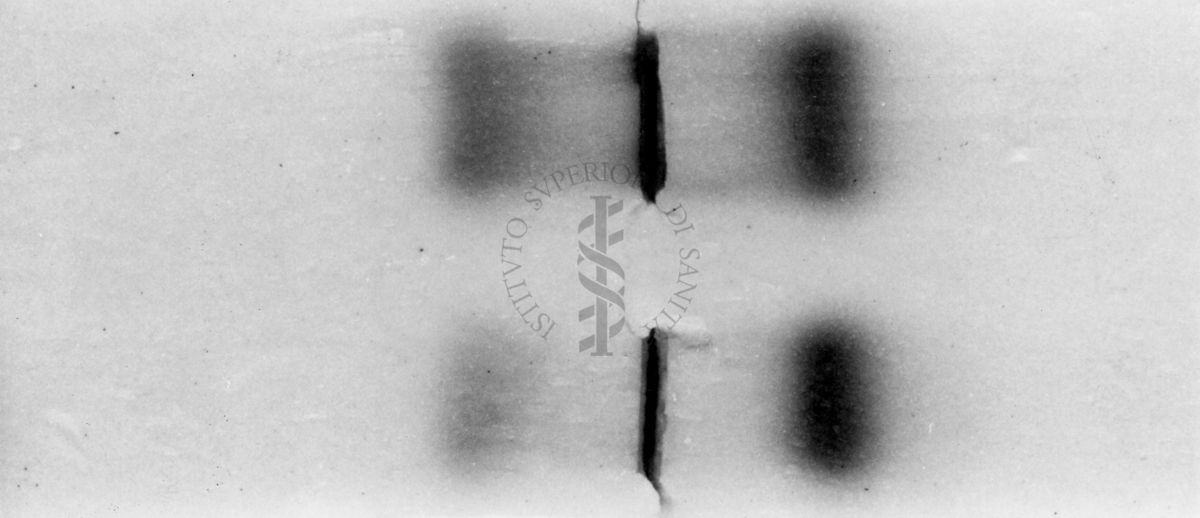 Montaggio di gel cromatografico su carta