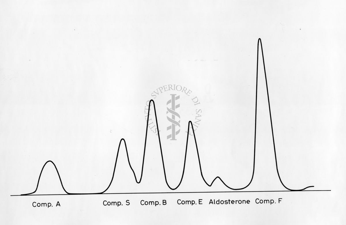 Grafico