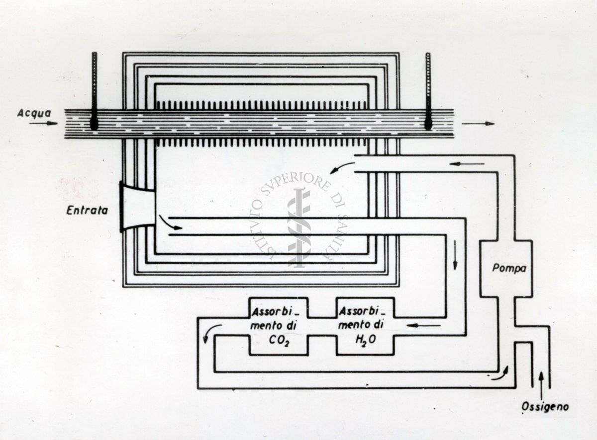 Schema di un apparecchio