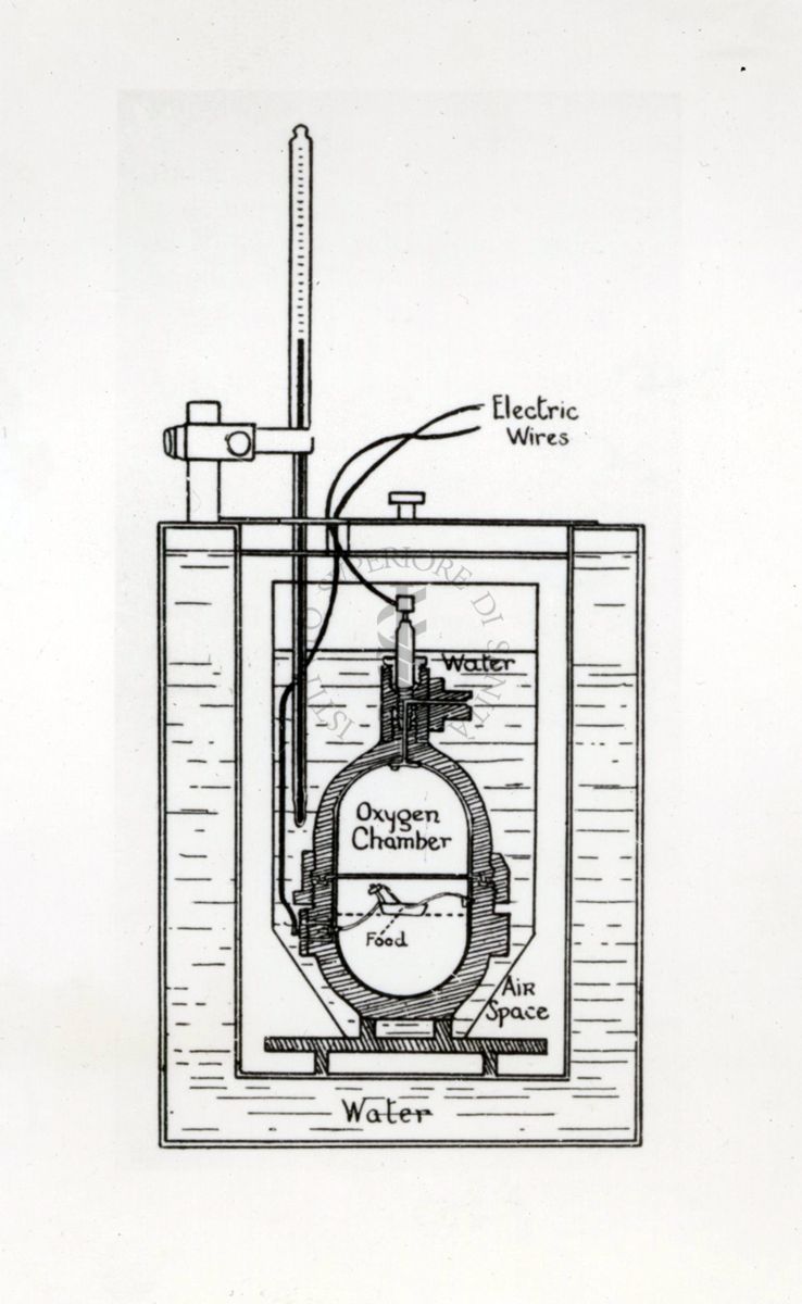 Schema di un apparecchio