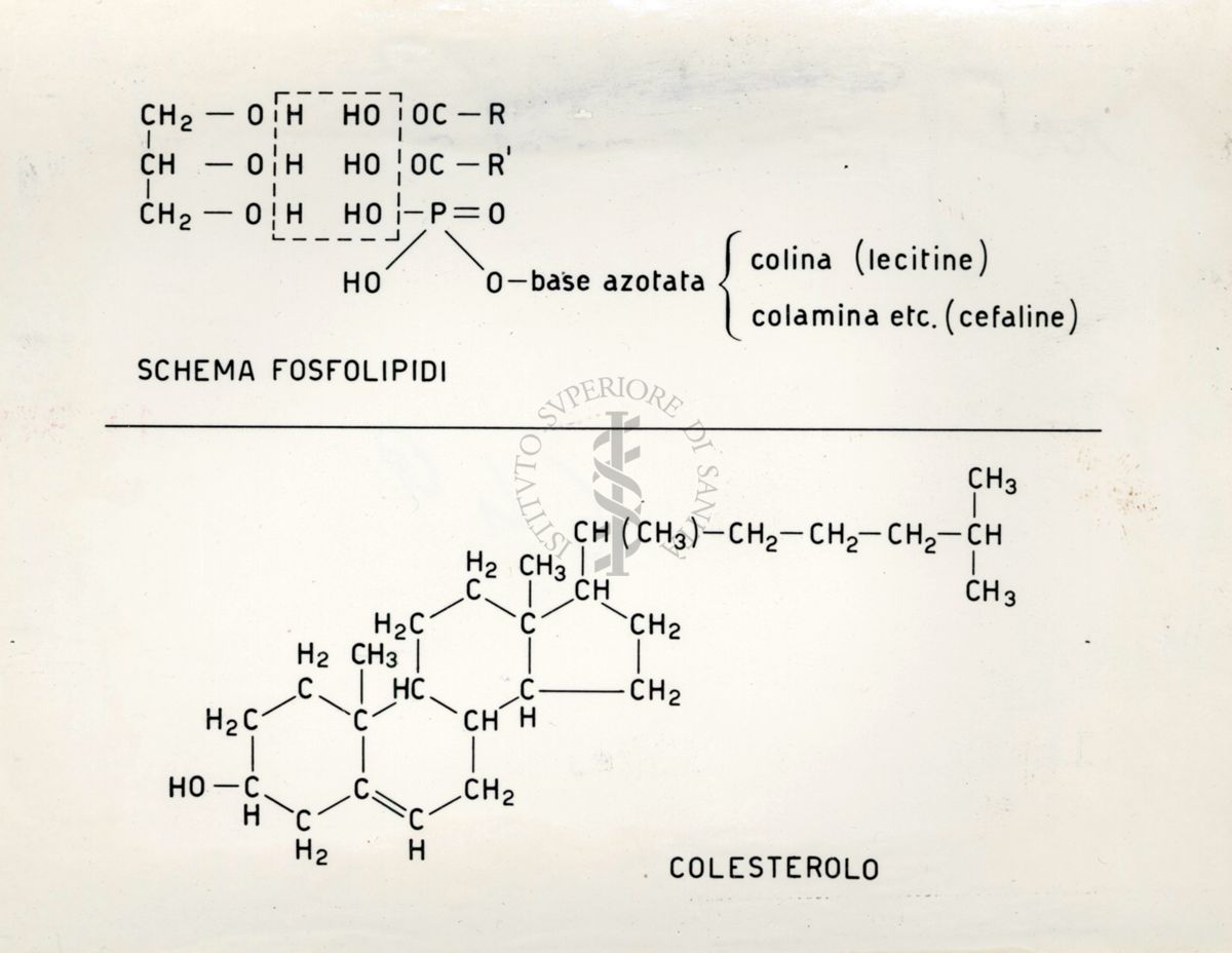 Immagine rappresentante formule chimiche per alcune sostanze