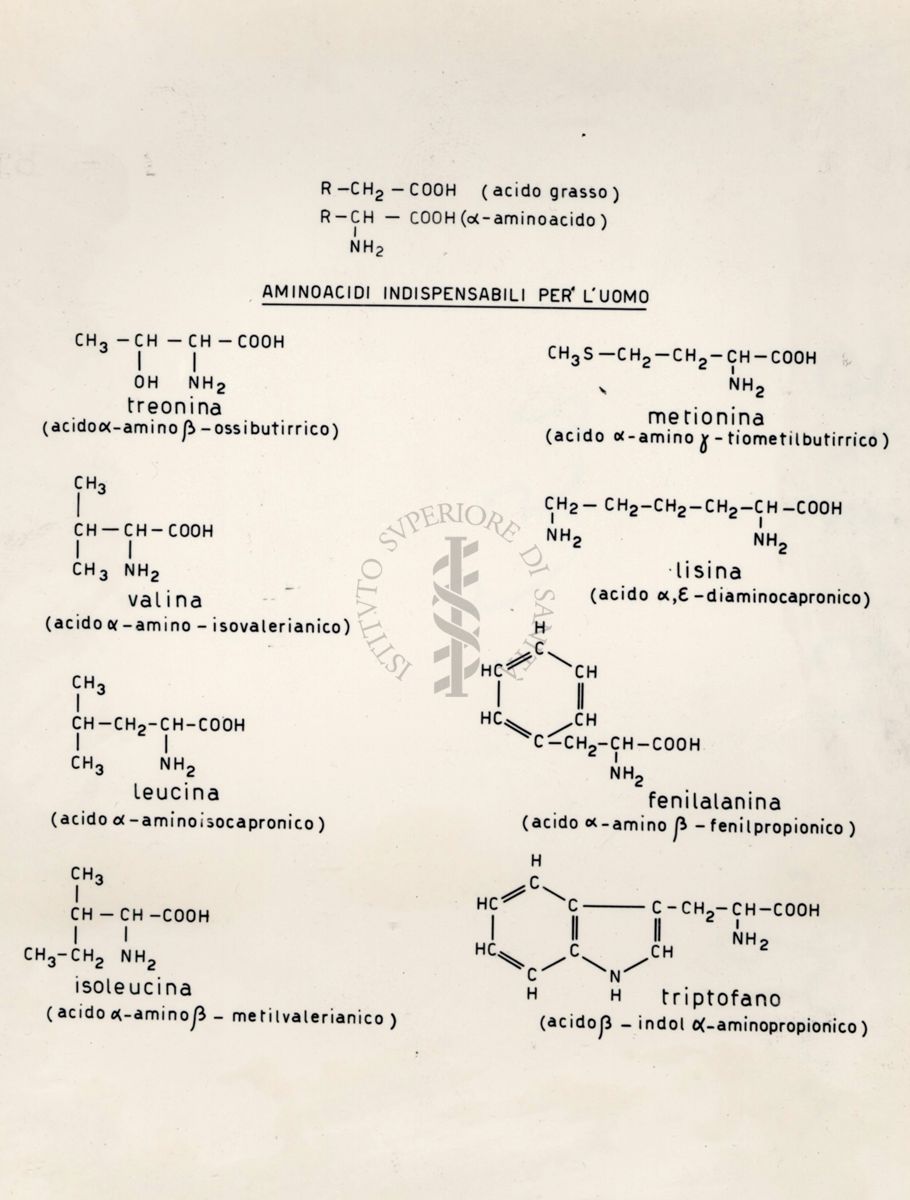 Immagine rappresentante formule chimiche di alcune sostanze per l'uomo