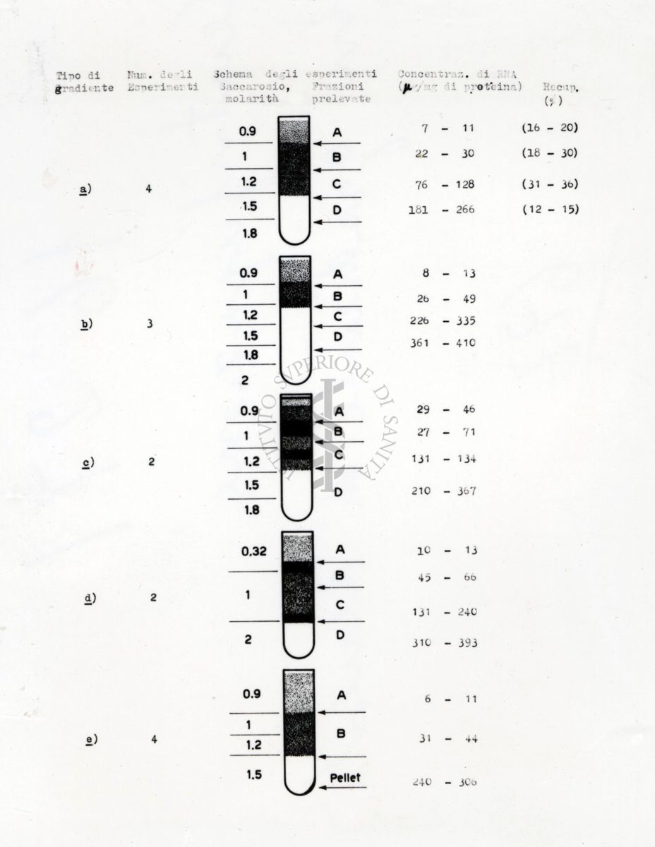 Centrifugazione in gradiente di densità