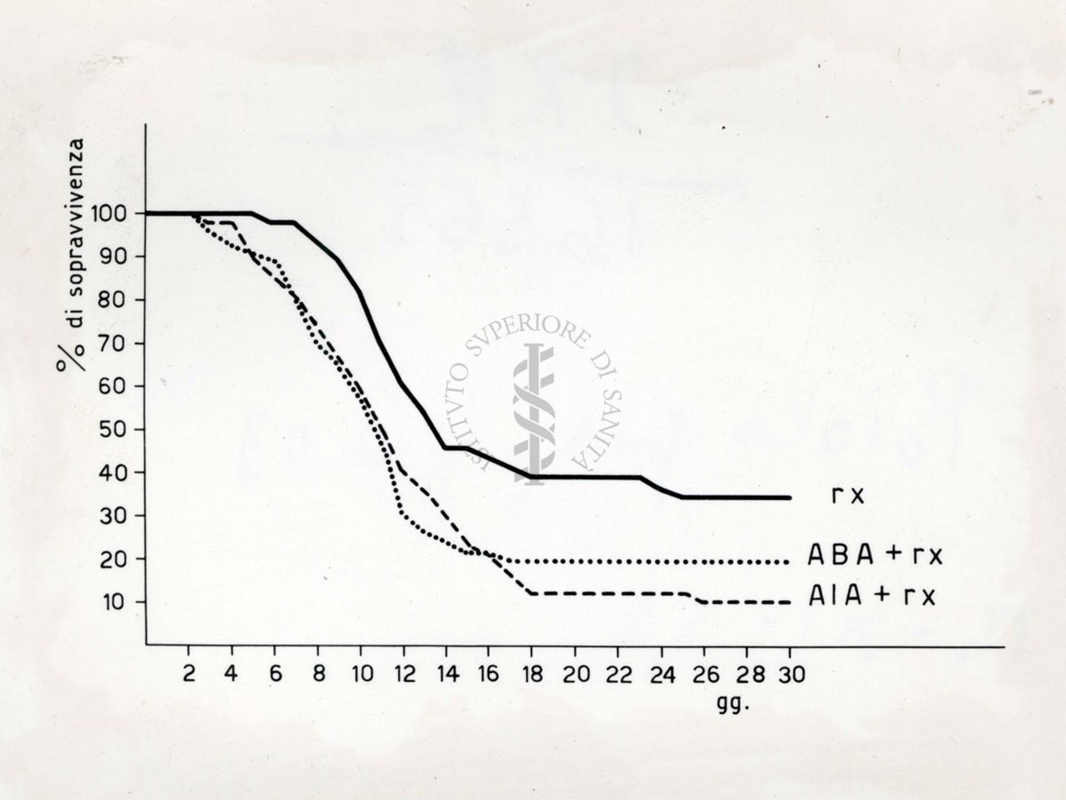 Effetto degli acidi bromo e iodo acetico sulla mortalità da irradiazione nel topo.