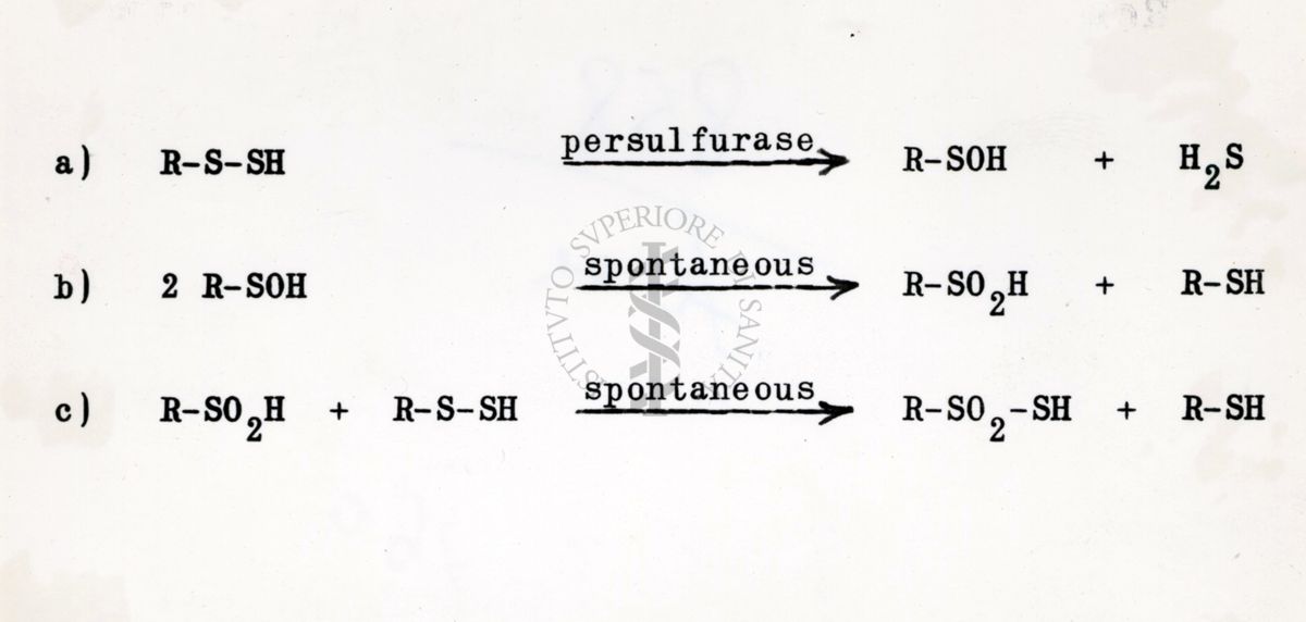 Degradazione enzimatica della Cistamina