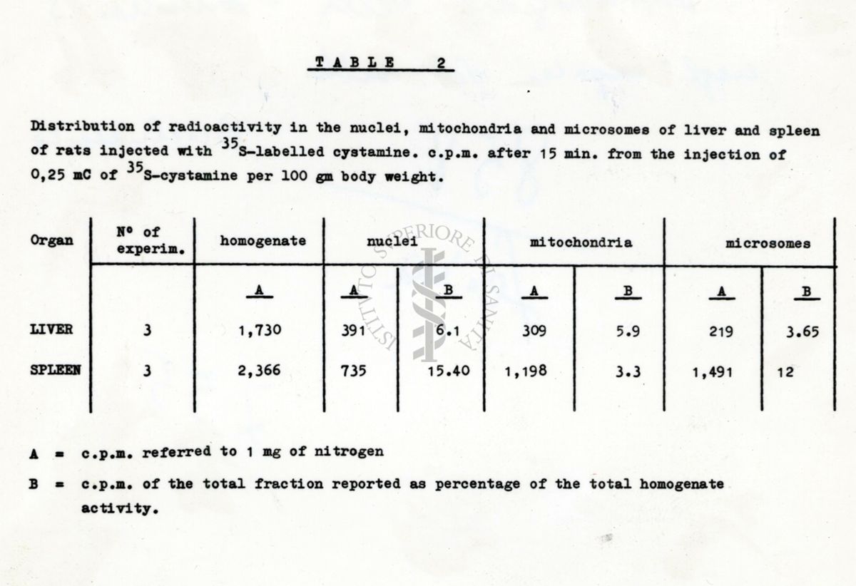 Distribuzione della Cistamina S35 negli organi del ratto