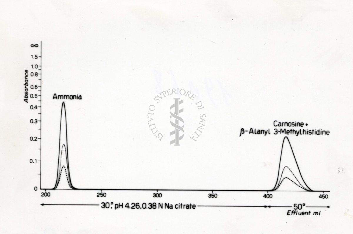 Identificazione della B. alanin 3 metilistidina negli estratti di carne di balena