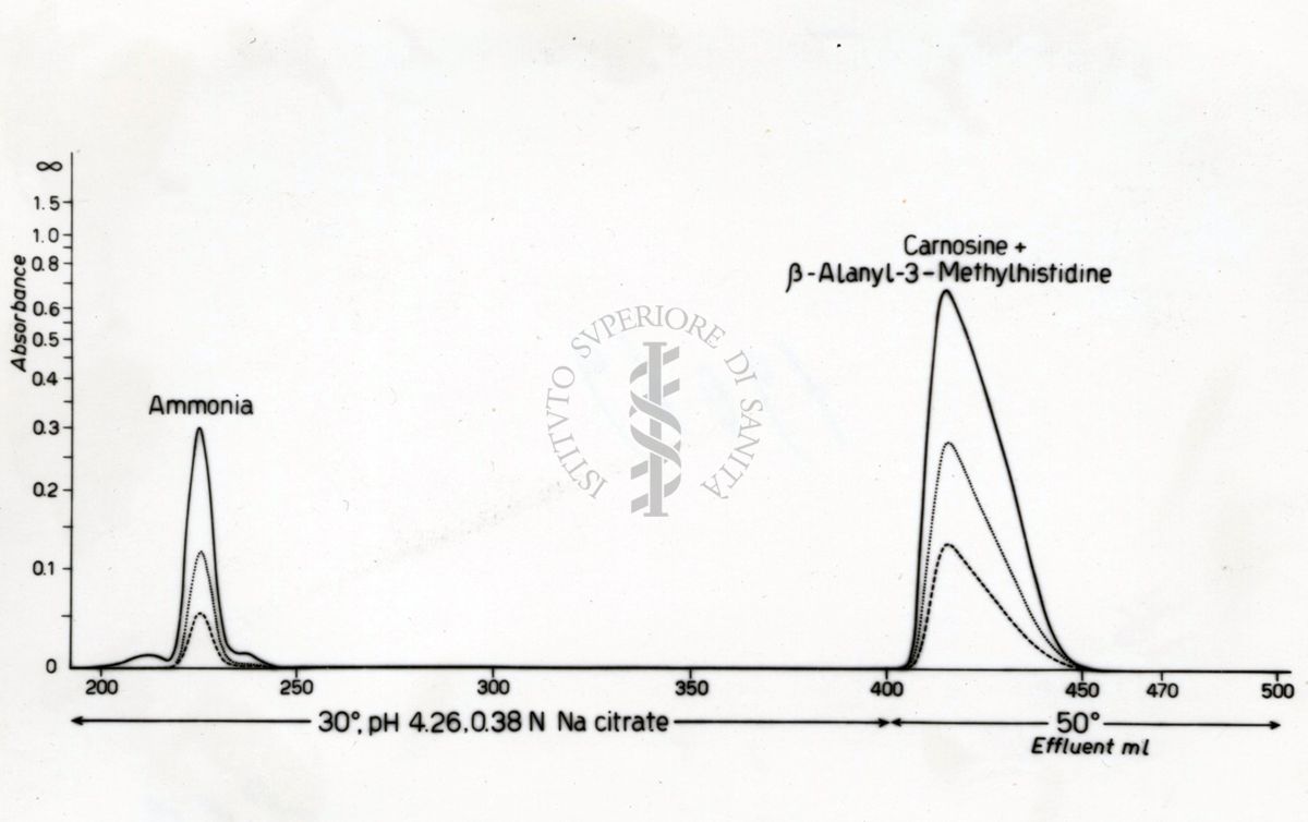 Identificazione della B. alanin 3 metilistidina negli estratti di carne di balena