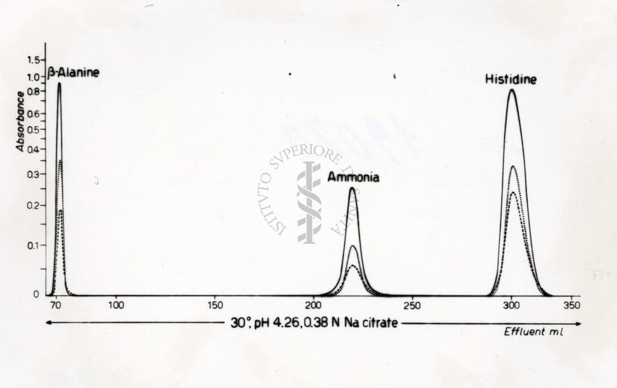 Identificazione della B. alanin 3 metilistidina negli estratti di carne di balena