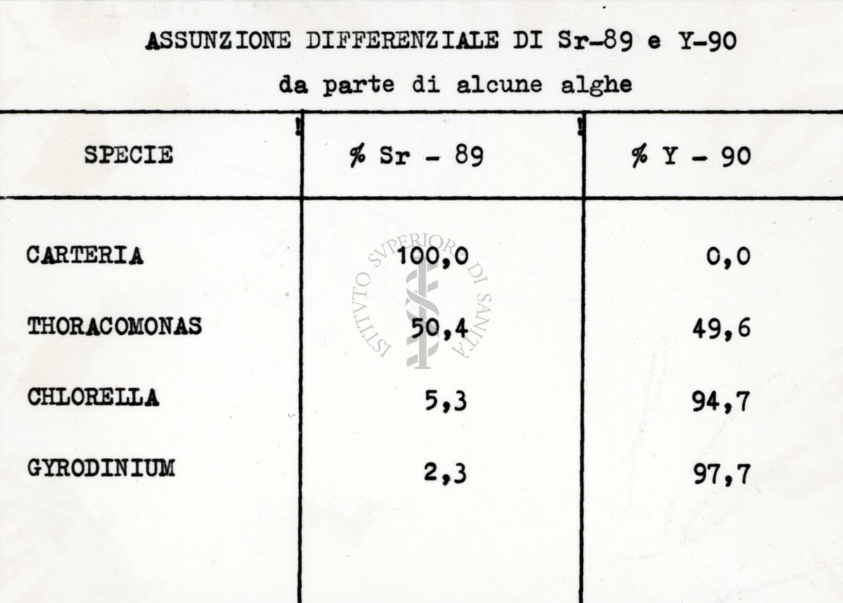 Assunzione differenziale di Sr-89 e Y-90 da parte di alcune alghe