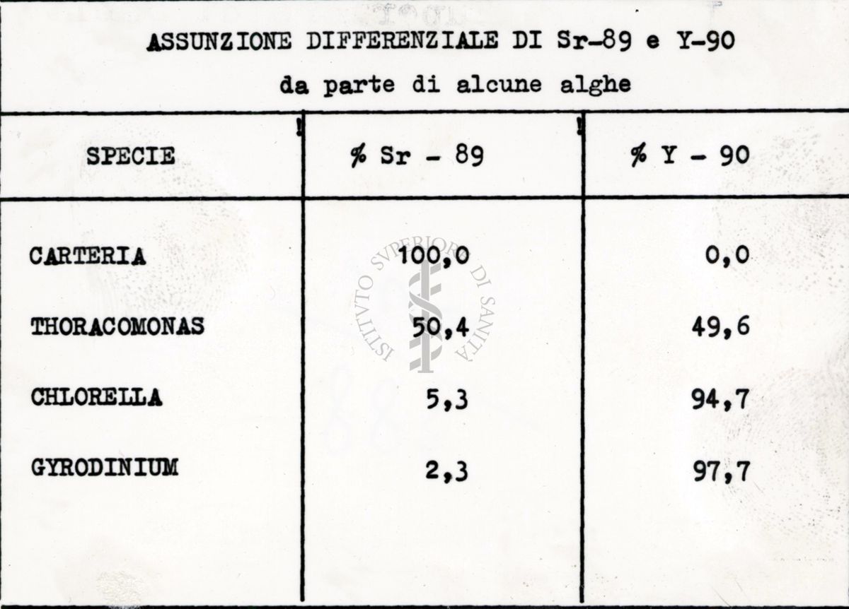 Assunzione differenziale di Sr-89 e Y-90 da parte di alcune alghe