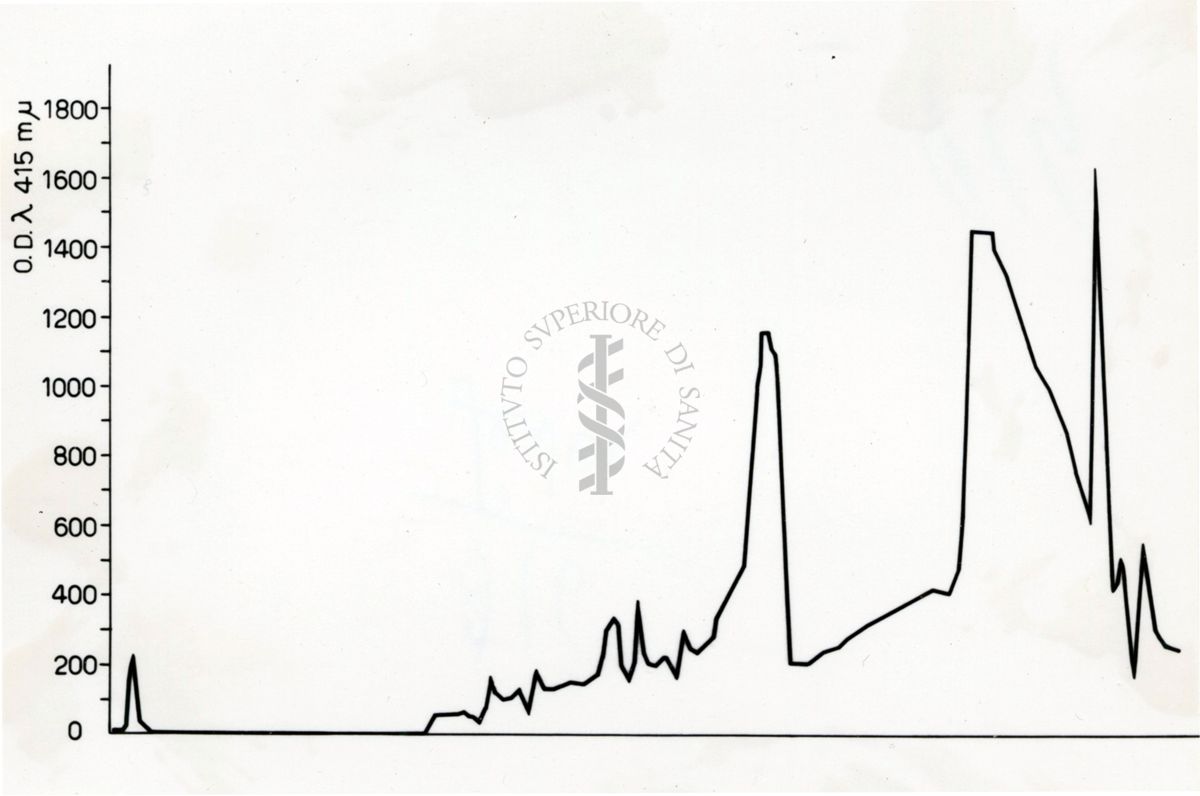 grafico