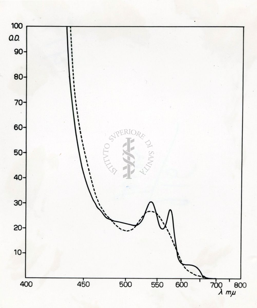 grafico