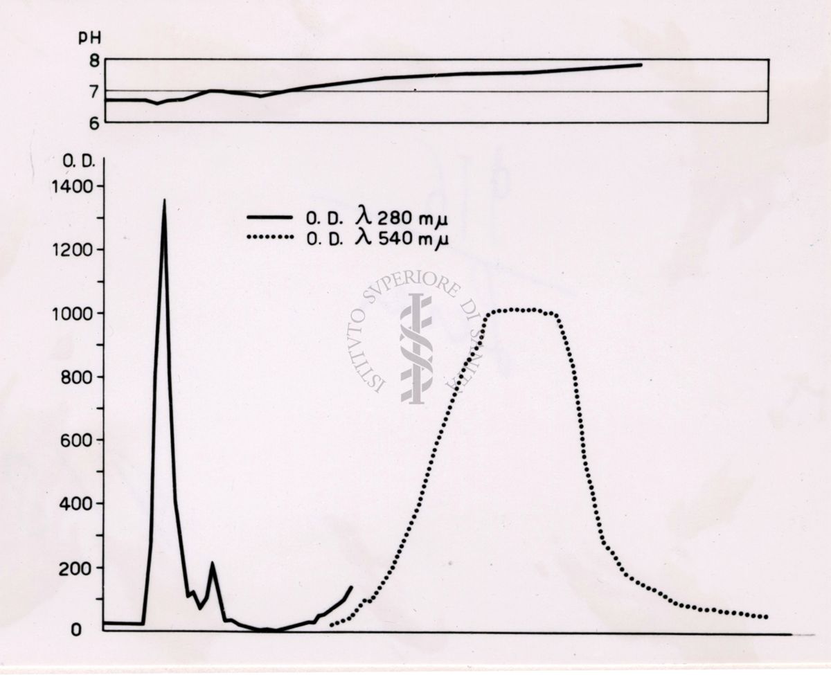 grafico