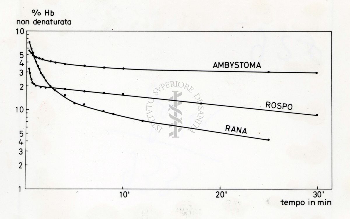 Grafico