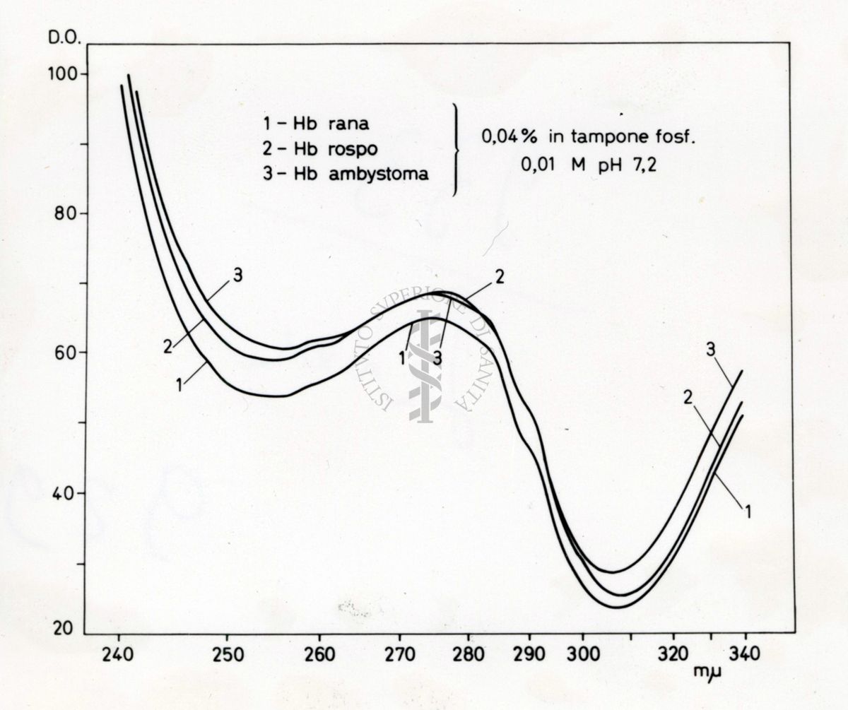 Grafico