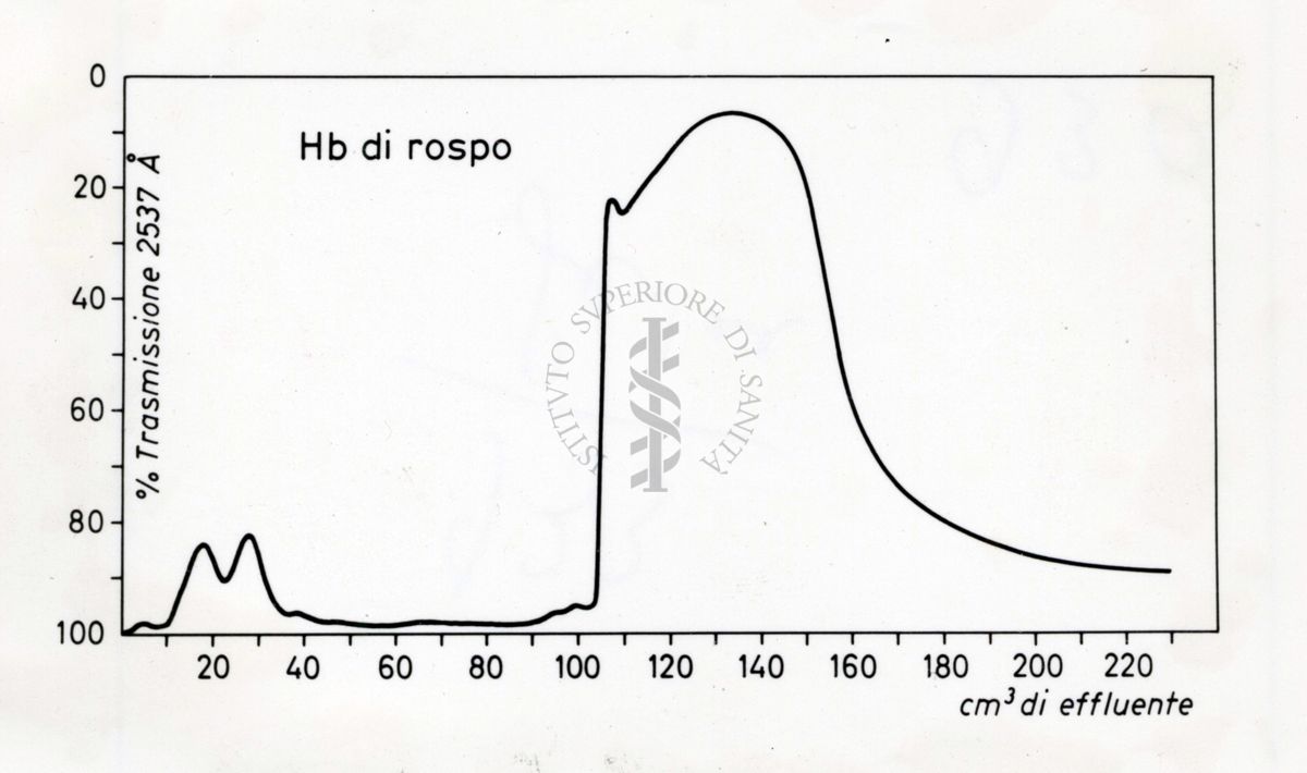 Grafico