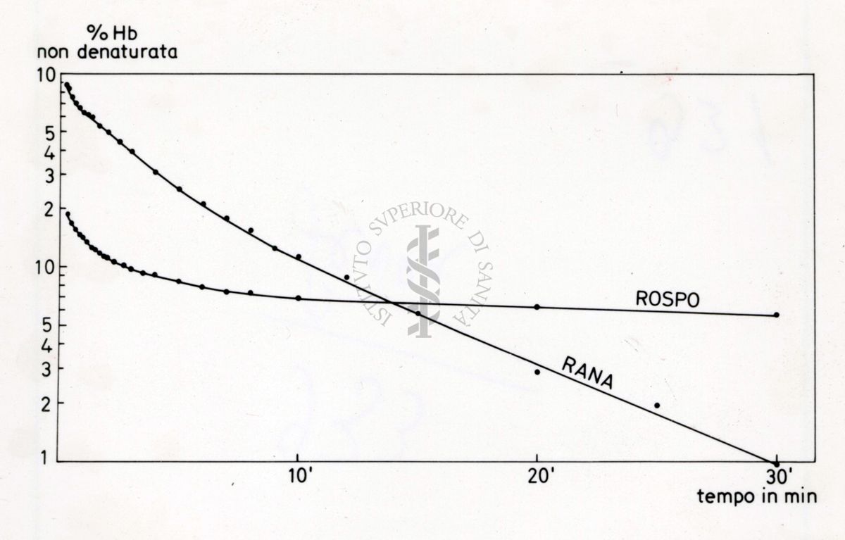 Grafico