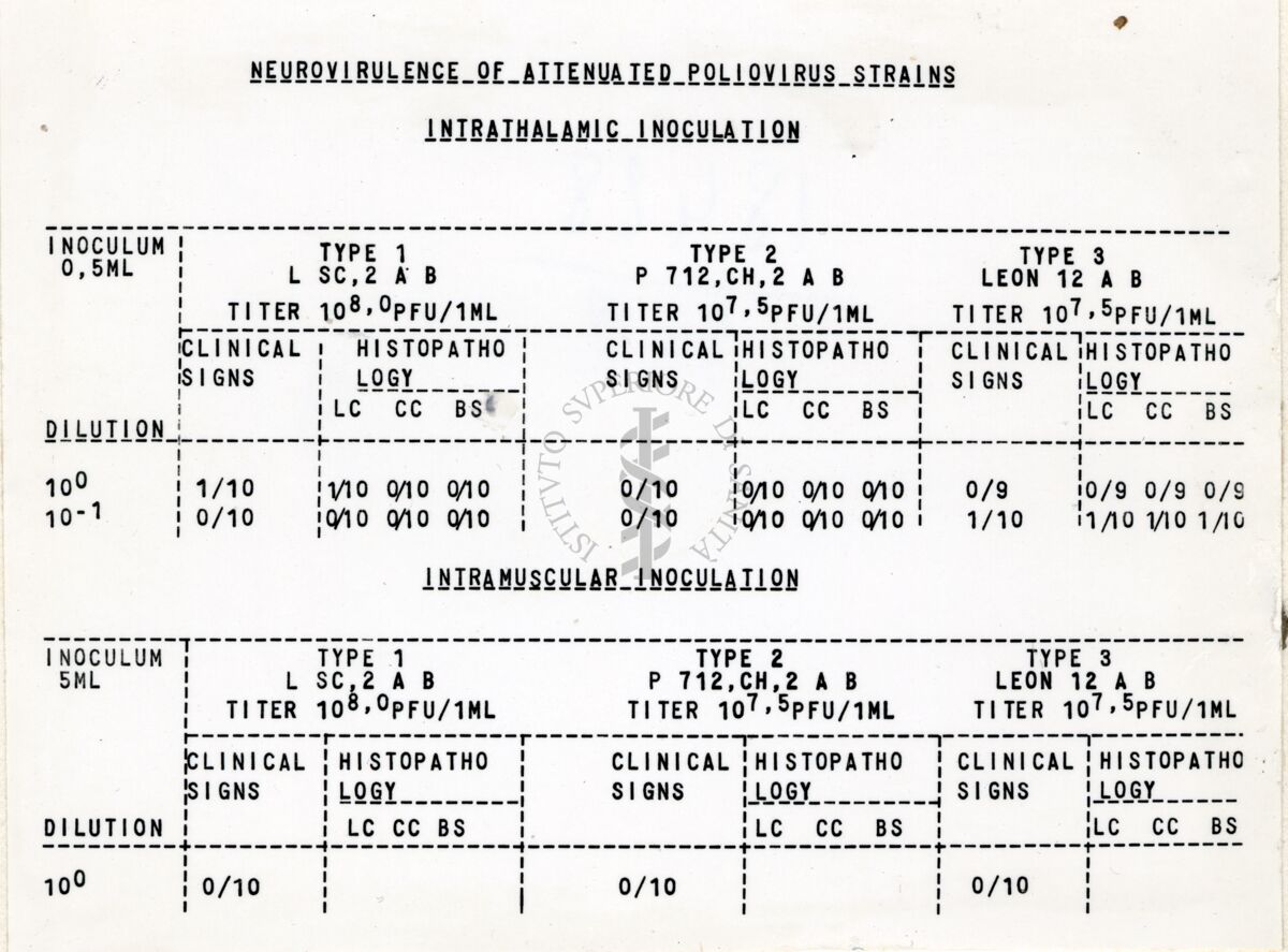 Riproduzione da copia dattilografica