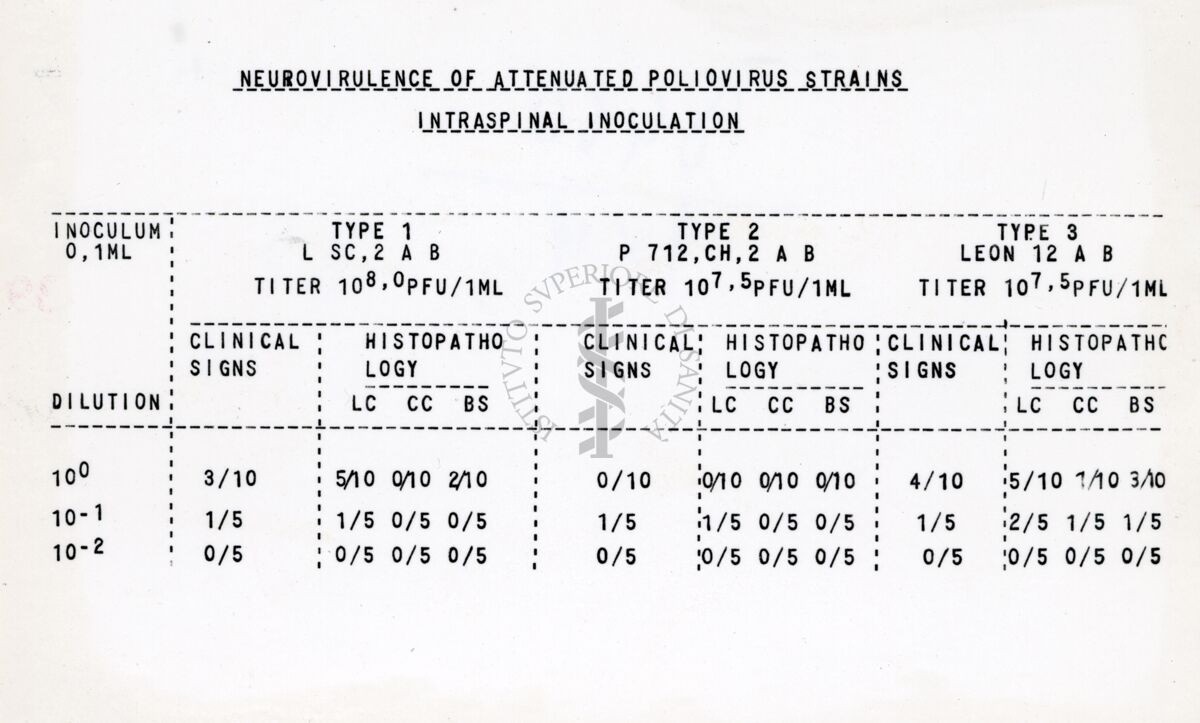 Riproduzione da copia dattilografica