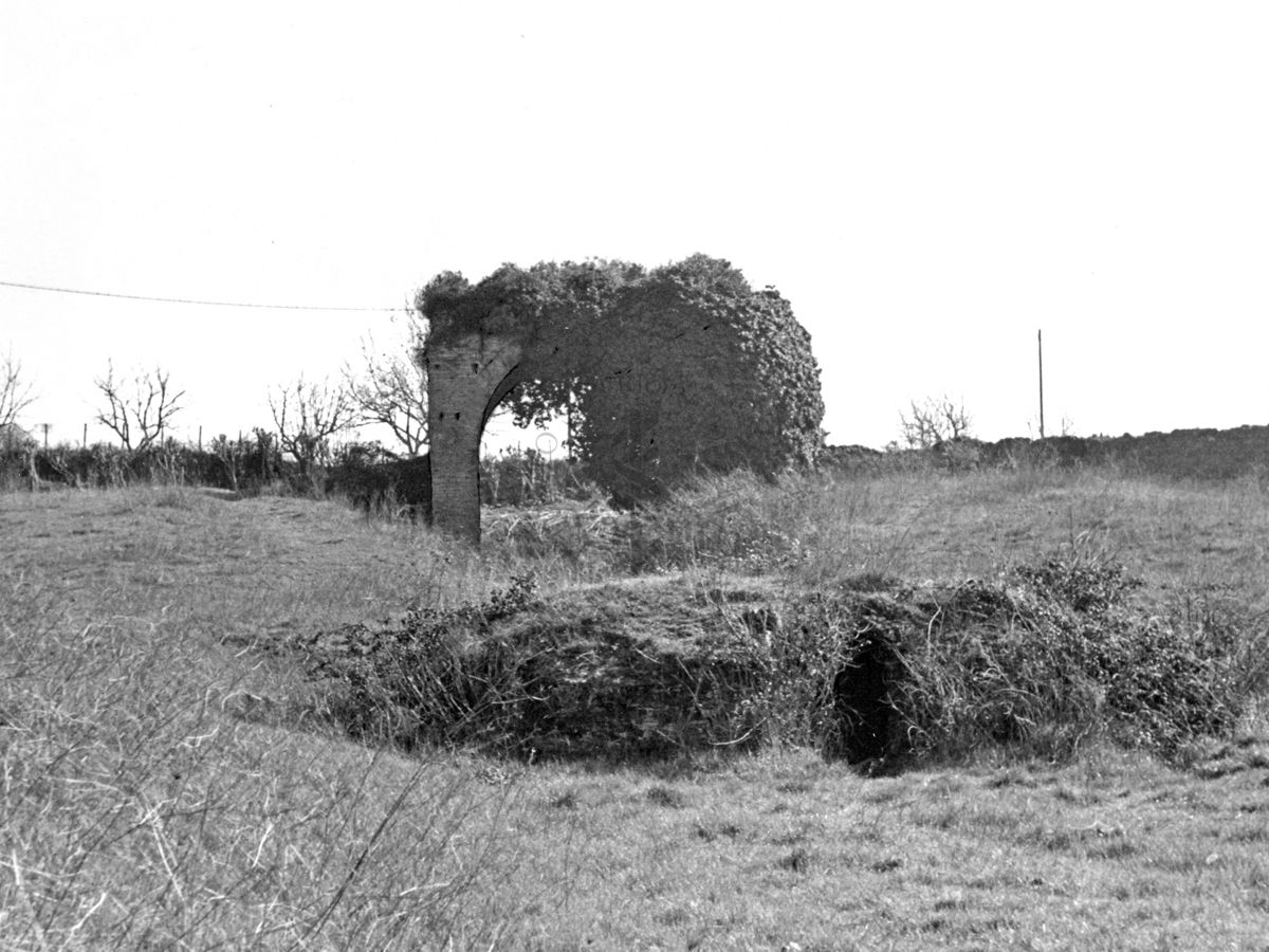 Circo Massenzio con ruderi di un arco con vegetazione cresciuta sopra