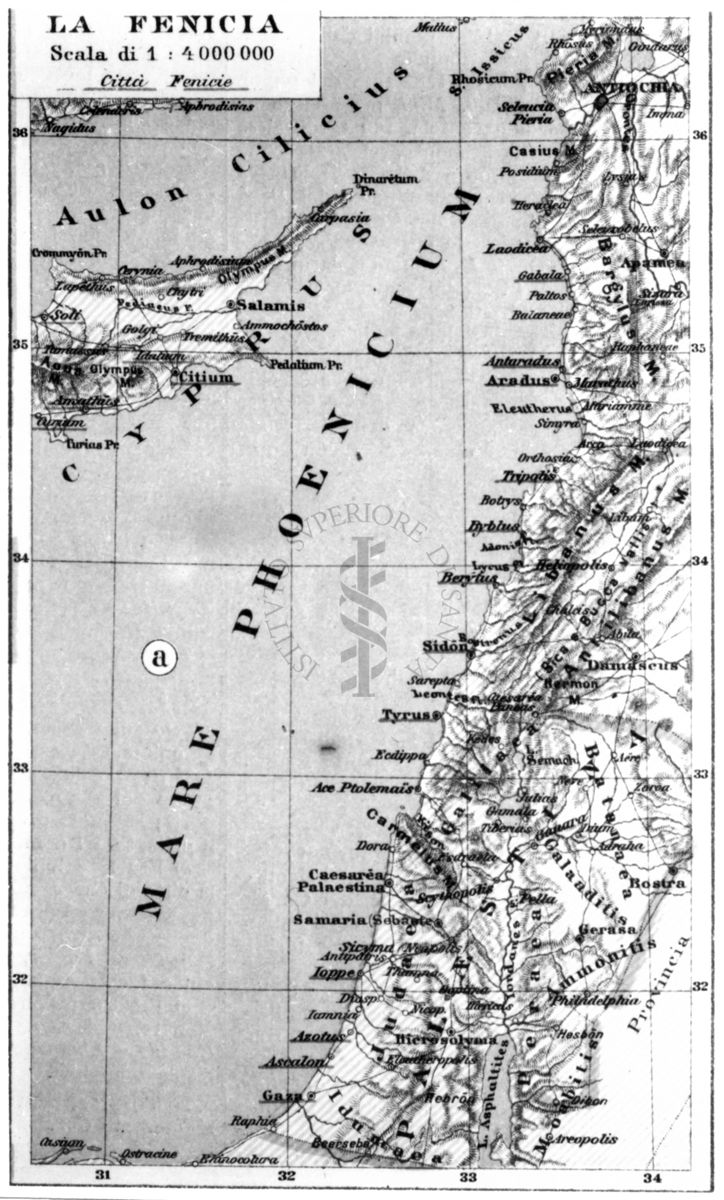 Cartogramma della Fenicia