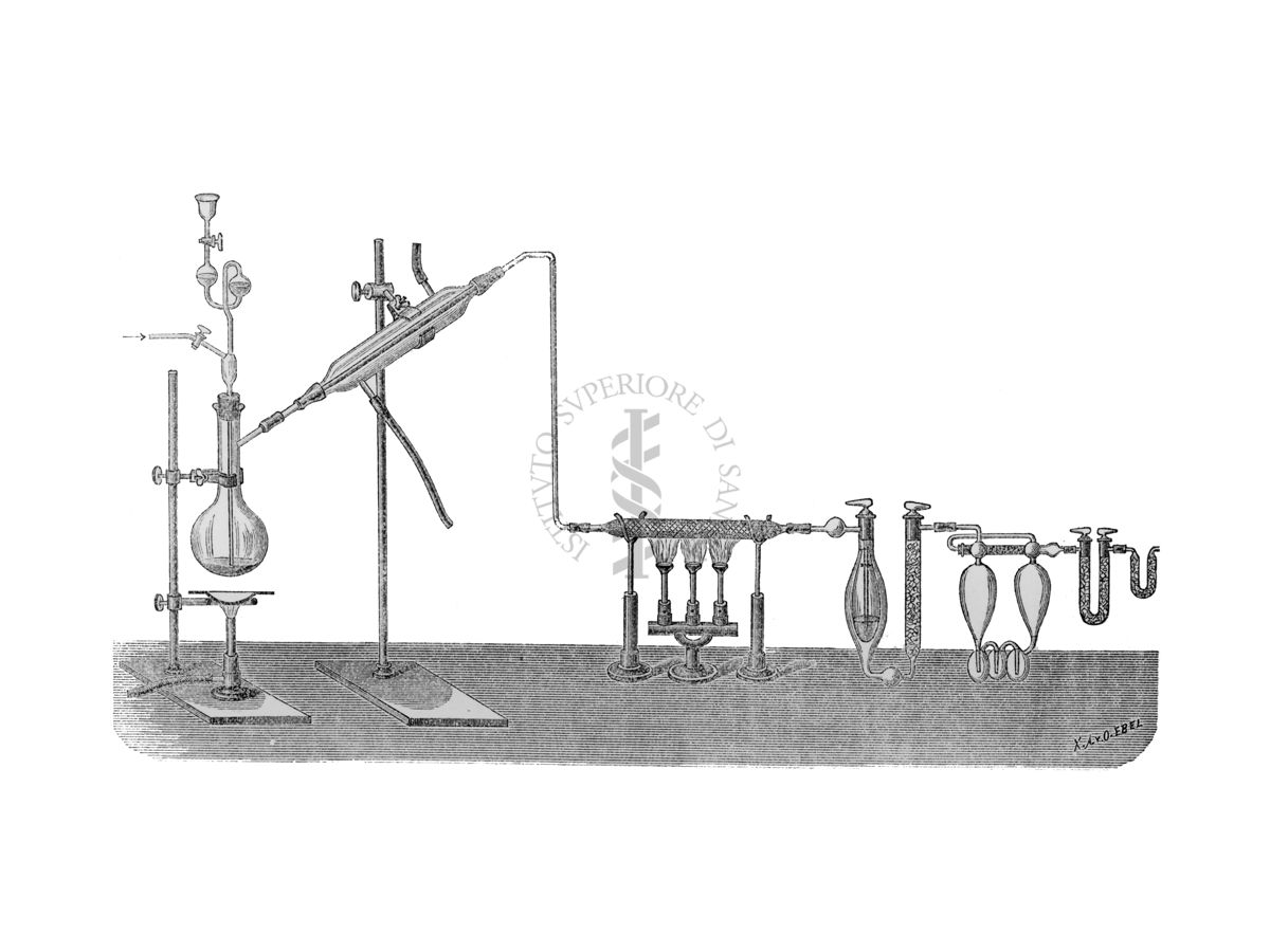 Apparecchio per la determinazione del carbonio