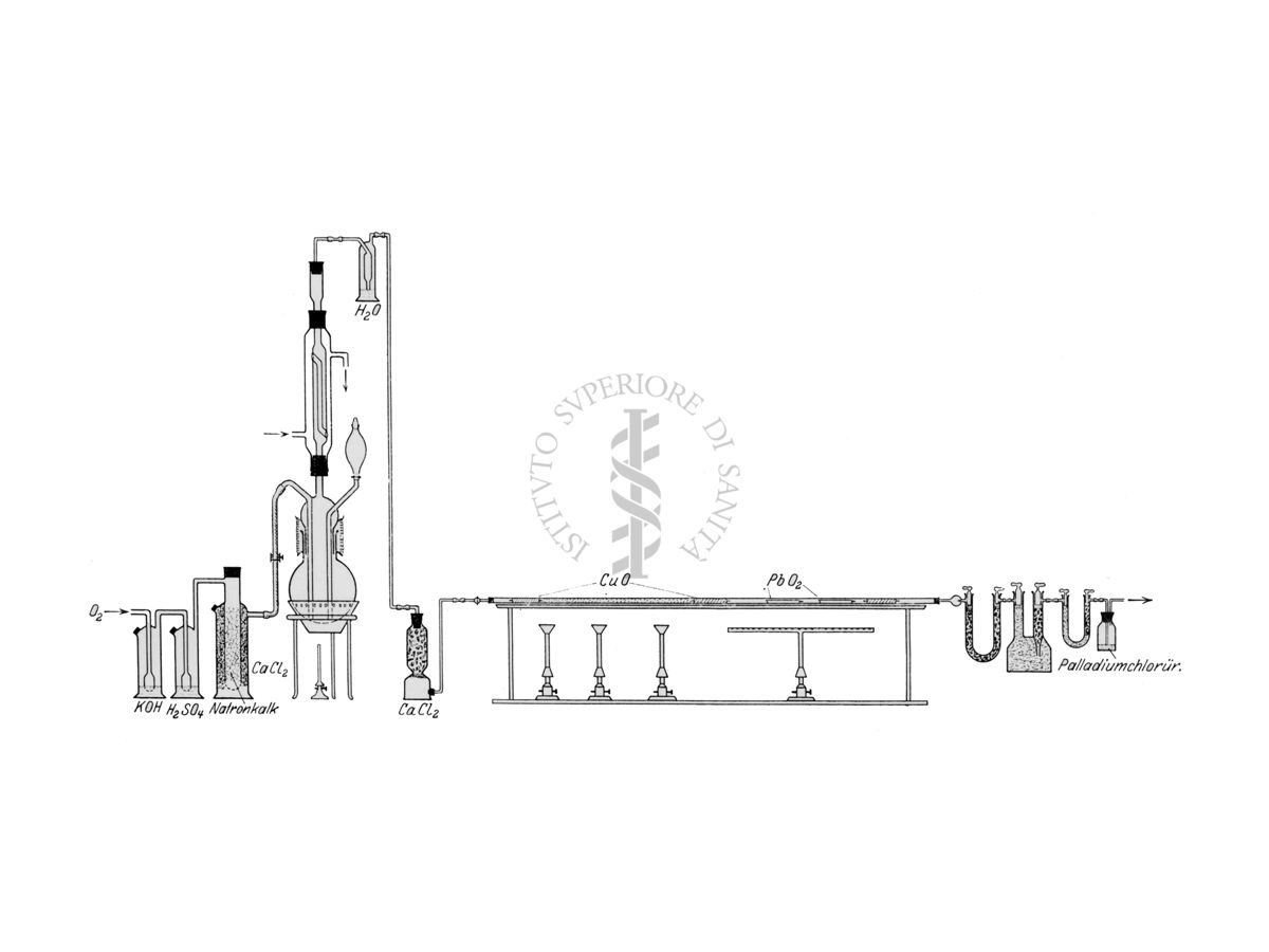 Apparecchio per la determinazione del carbonio