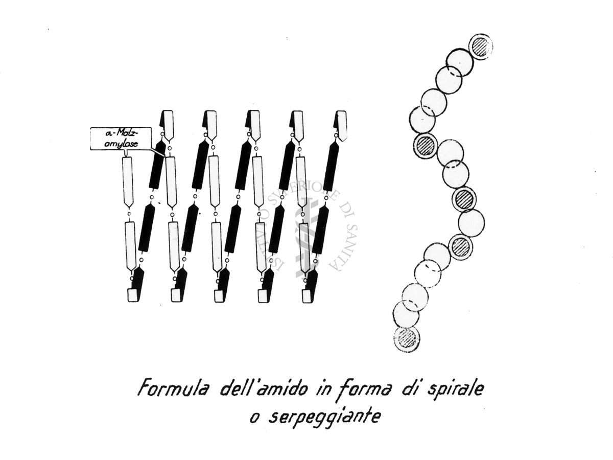Formula dell'amido in forma di spirale o serpeggiante