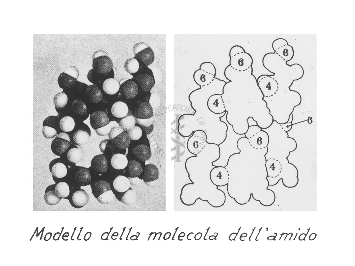 Modello della molecola dell'amido