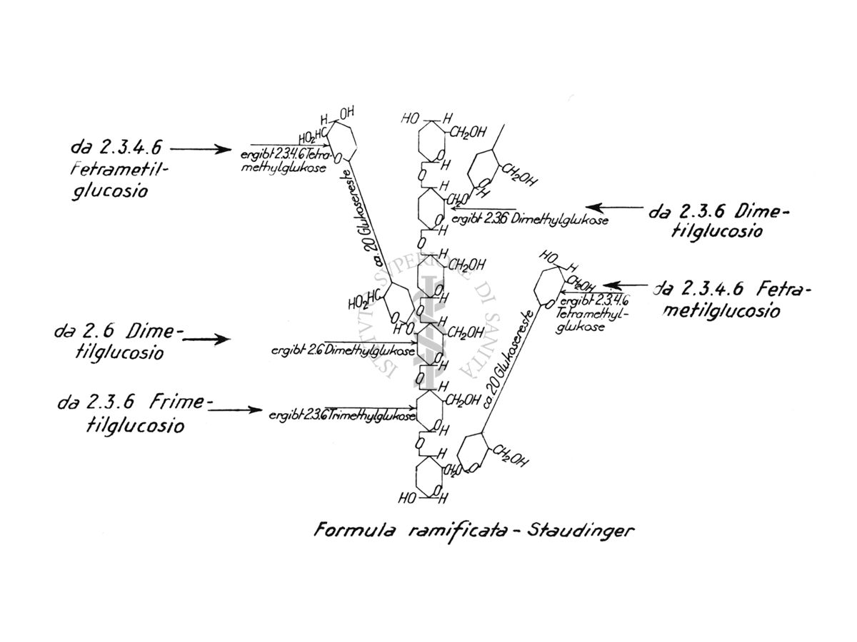 Formula ramificata - Staudinger