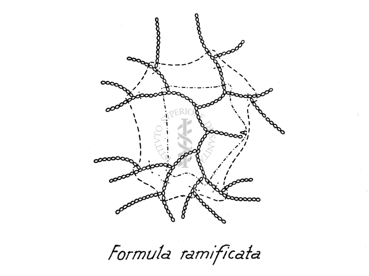 Formula ramificata