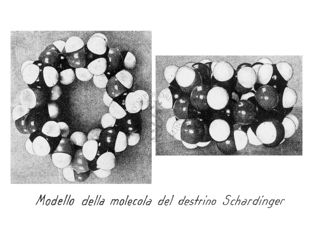 Modello della molecola del destrino Schardinger