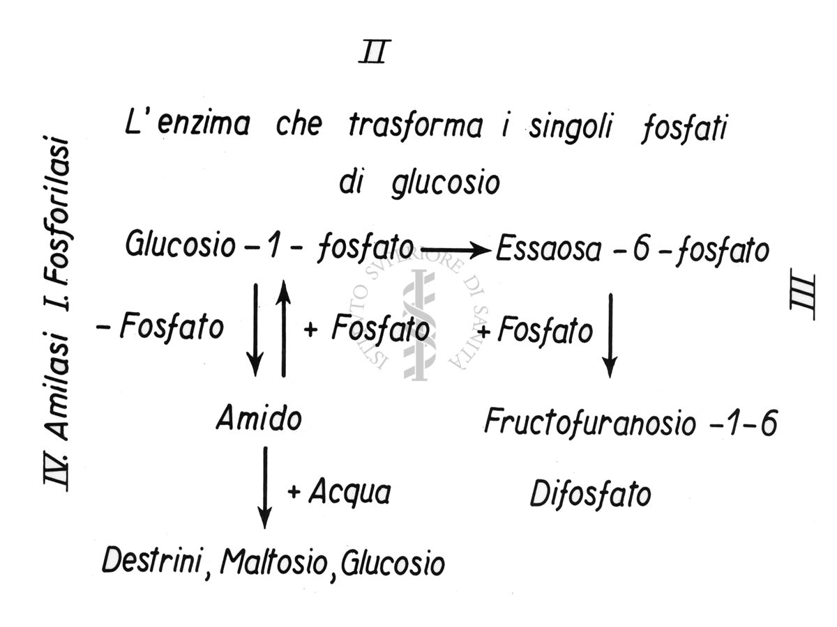 Tabella di trasformazione di fosfati